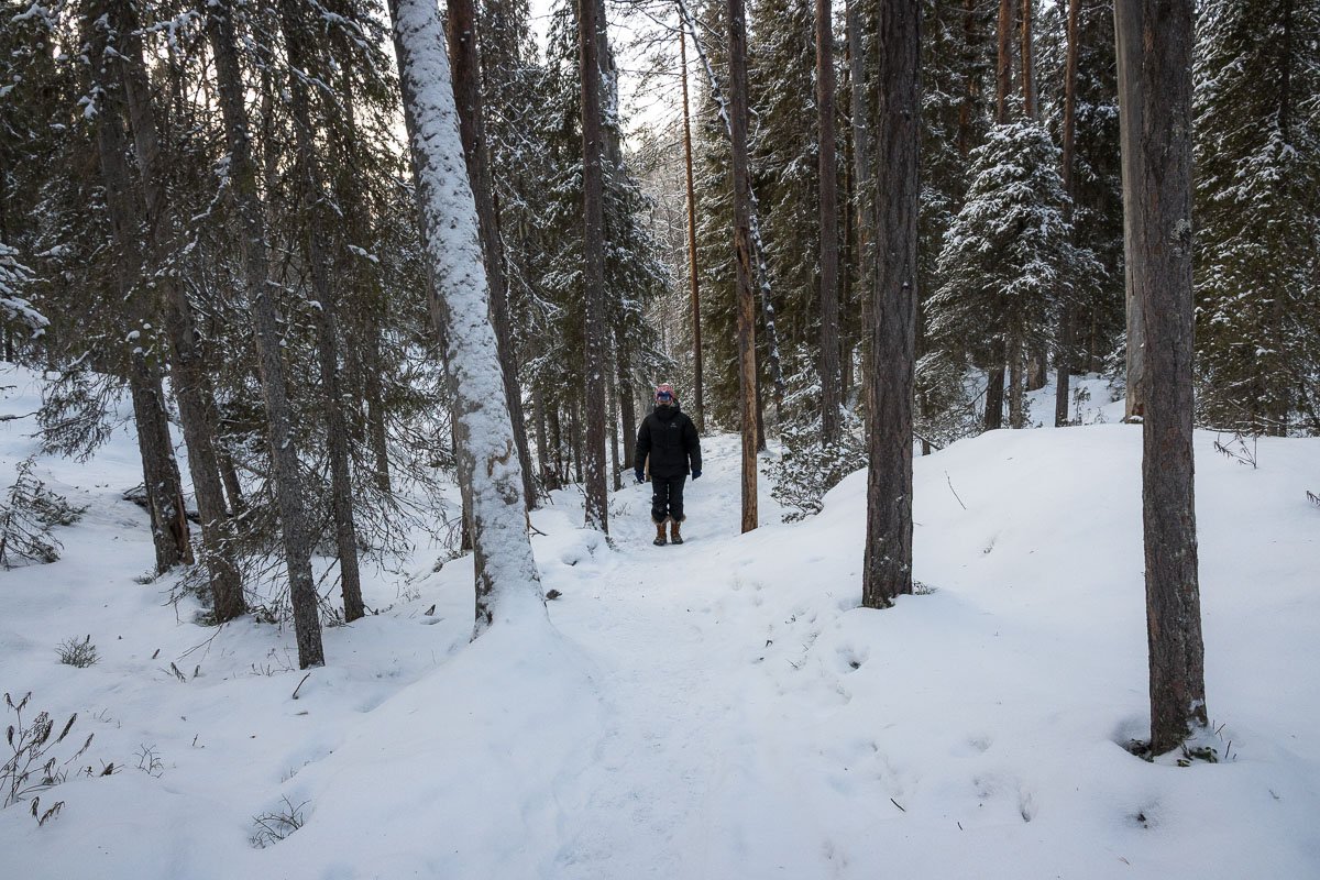 C'est vraiment un plaisir de progresser dans cette forêt
