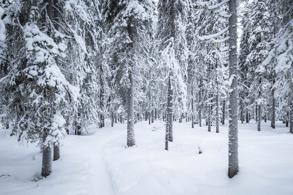 En route pour le refuge En route pour le refuge