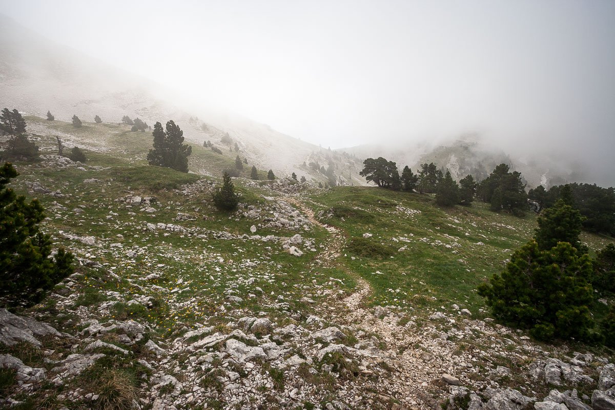 Après les pelouses, les rochers font leur apparition mais je rentre dans le brouillard