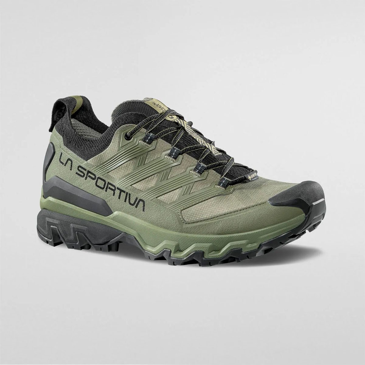 Chaussures Ultra Raptor 3 Gtx