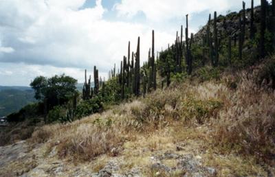 Mexique : Hierve El Agua