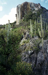 Hierve El Agua