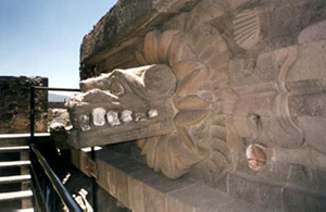 Détail d'une tête de dragon