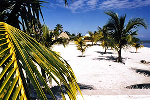 Belize City