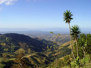 Monteverde Road