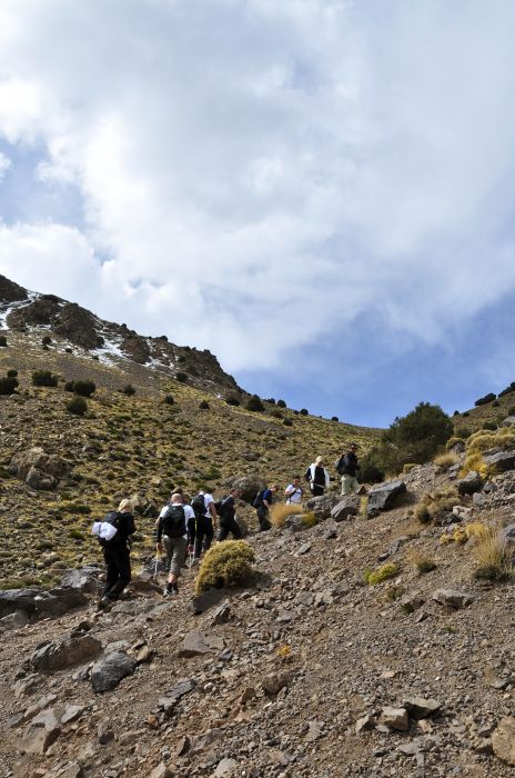 Maroc : Trekking au Maroc. Trek au Toubkal