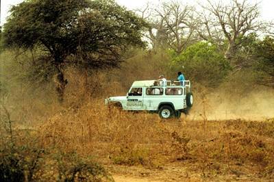 Sngal : Balade en 4X4 au Sngal