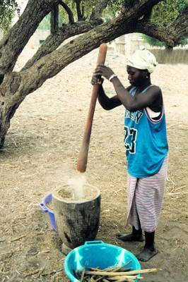 Sngal : Prparation du mil