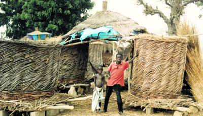 Sngal : Rserve de mil