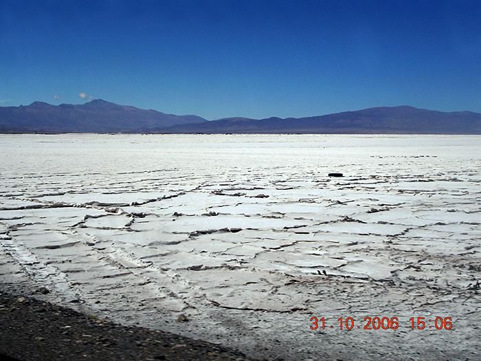 Argentine : Argentine 2006