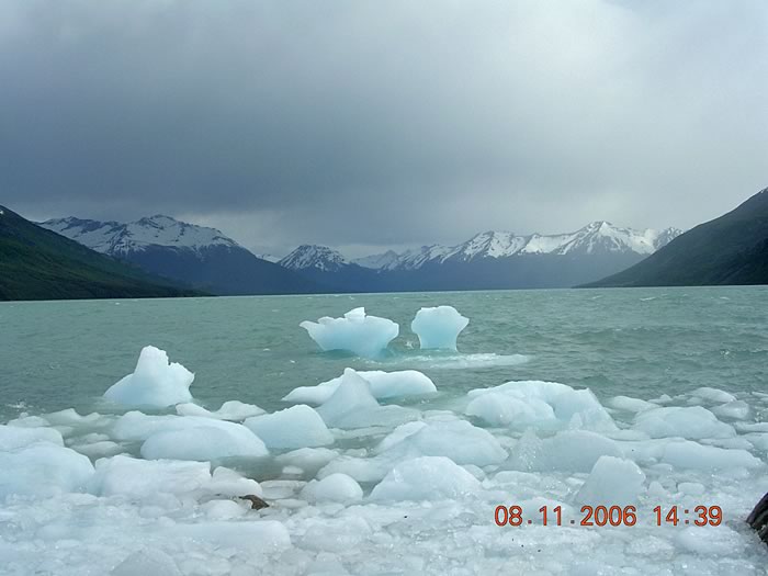 Argentine : Argentine 2006