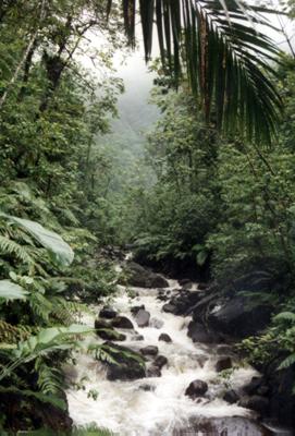 Guadeloupe : Guadeloupe