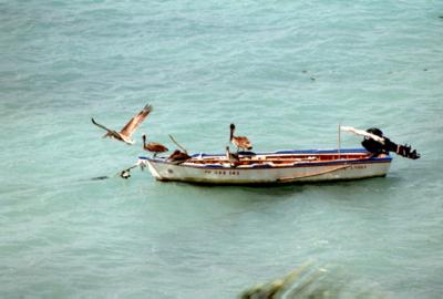 Guadeloupe : Guadeloupe