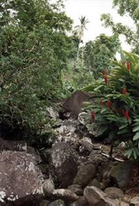 Guadeloupe