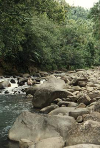 Guadeloupe
