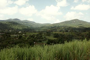 Guadeloupe