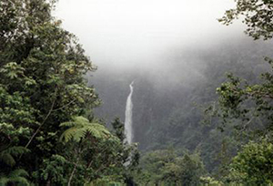 Guadeloupe