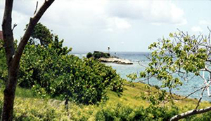 Martinique