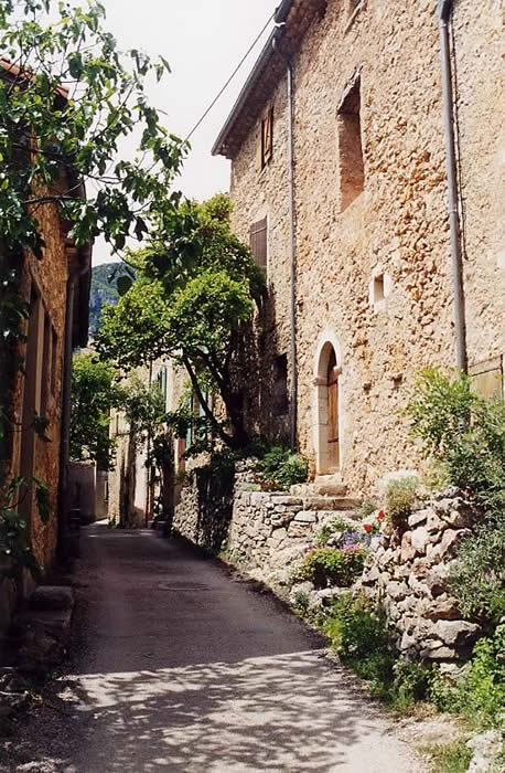 France : France