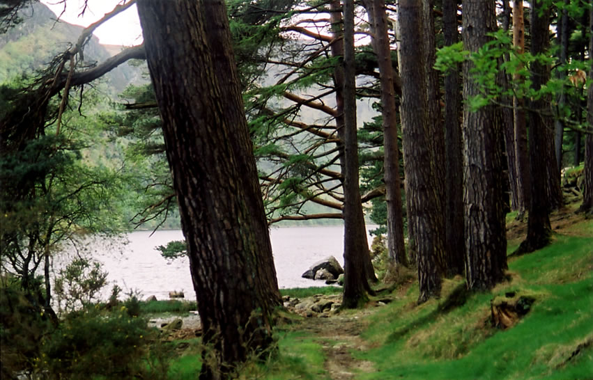 Irlande : Sentier pour rejoindre le lac
