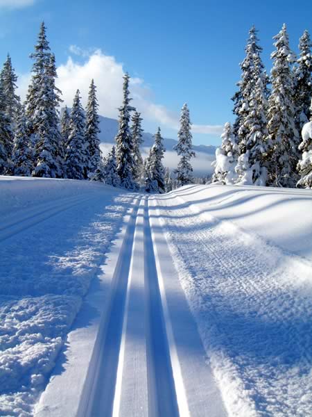 Norvge : Paysage de Norvge