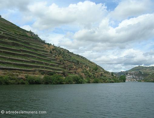 Portugal : Valle du Douro