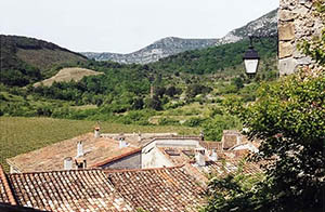 Toits et vignes dans les Cévennes
