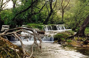 Cascades dans les Cévennes