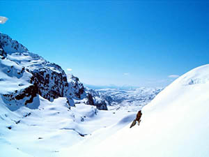 Blue mountain