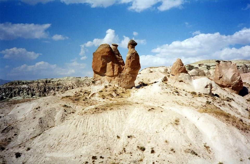 Turquie : Un escargot en Capadoce ?