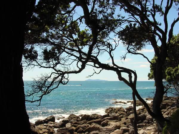 Nouvelle Zlande : Mt Maunganui