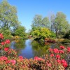 Jardin du gte Kerivoal  Saint Eloy en Finistre