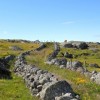 Les monts d'Aubrac