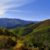 Paysage des Cvennes