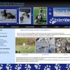 Antartica Traineaux