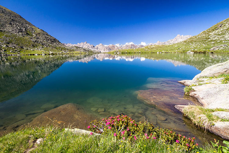 Alpes