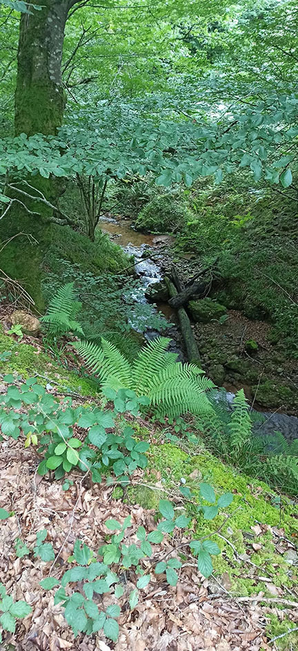 Traversée des Pyrénées de l'est à l'ouest