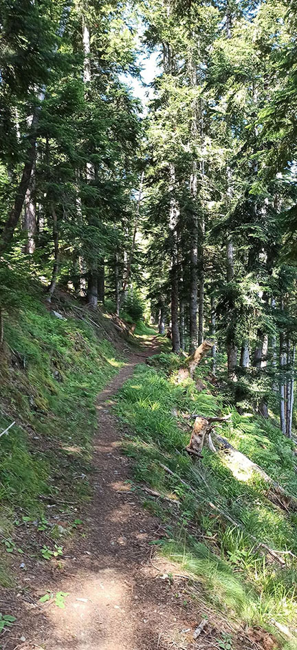 Traversée des Pyrénées de l'est à l'ouest