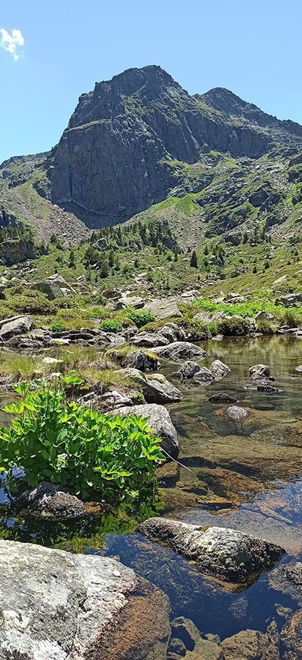 Traversée des Pyrénées de l'est à l'ouest