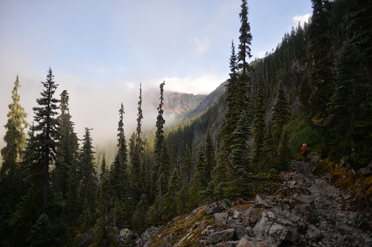 PCT PCT Snoqualmie Pass